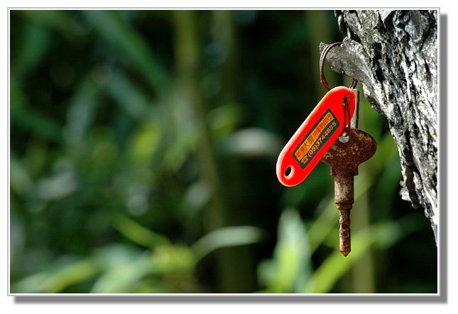 按此在新視窗瀏覽圖片