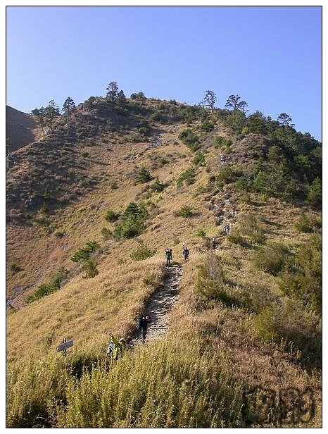 按此在新視窗瀏覽圖片