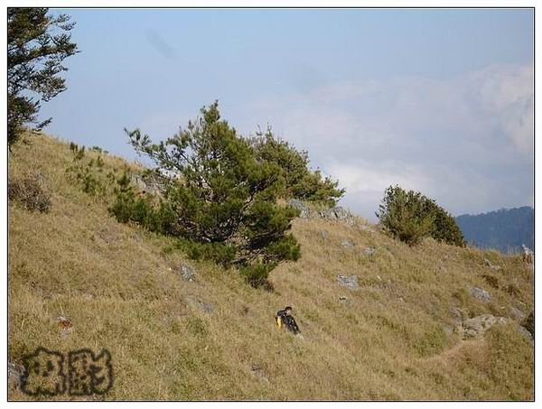 按此在新視窗瀏覽圖片