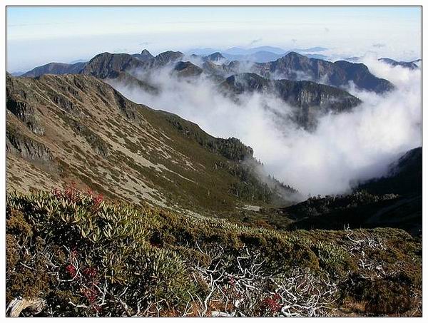 按此在新視窗瀏覽圖片