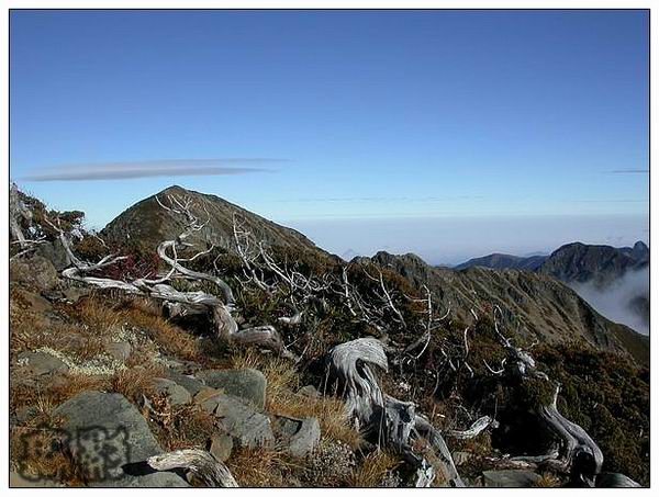 按此在新視窗瀏覽圖片