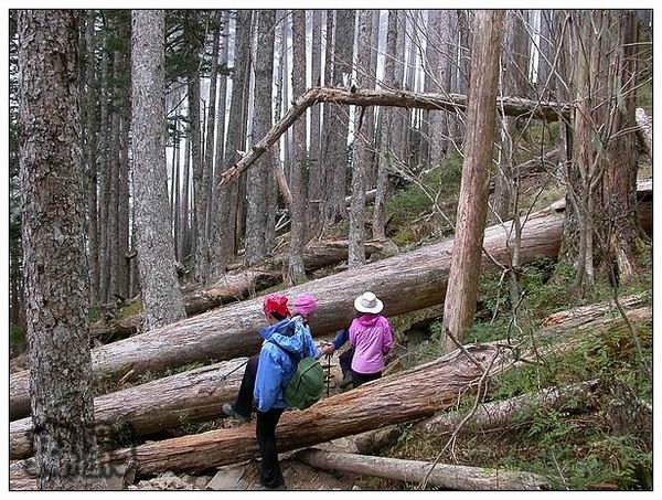 按此在新視窗瀏覽圖片