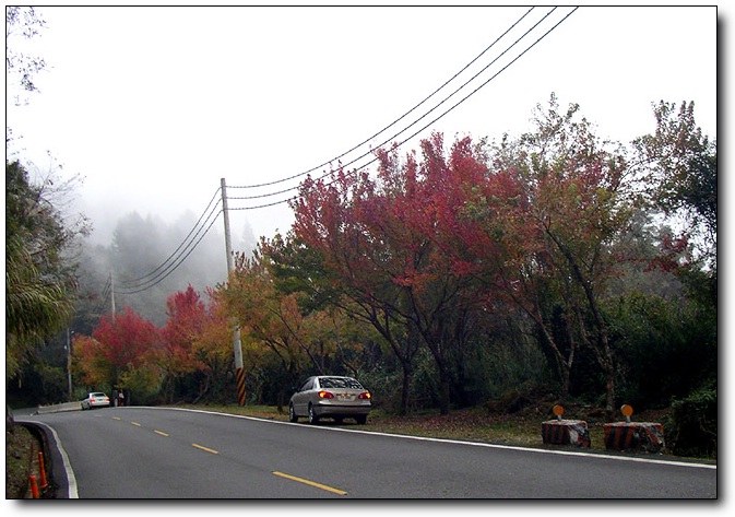 按此在新視窗瀏覽圖片