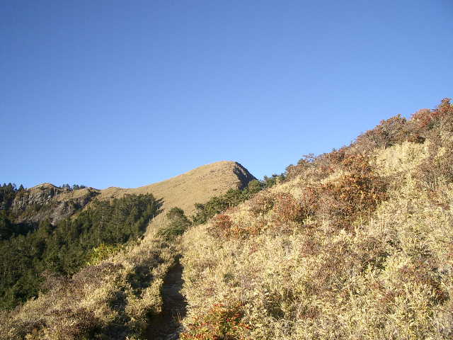 按此在新視窗瀏覽圖片