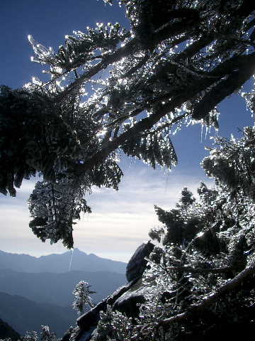 按此在新視窗瀏覽圖片