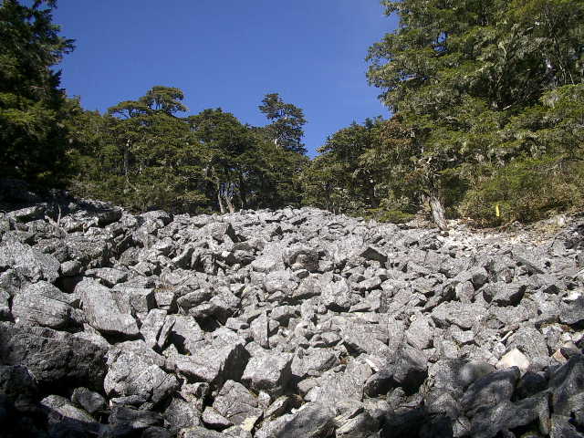 按此在新視窗瀏覽圖片