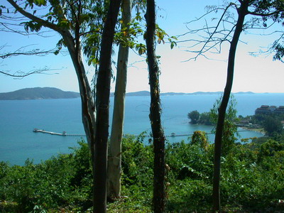 按此在新視窗瀏覽圖片