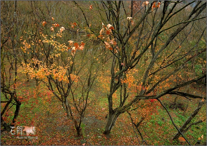 按此在新視窗瀏覽圖片