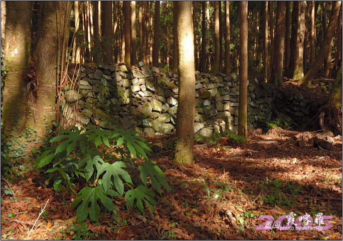 按此在新視窗瀏覽圖片