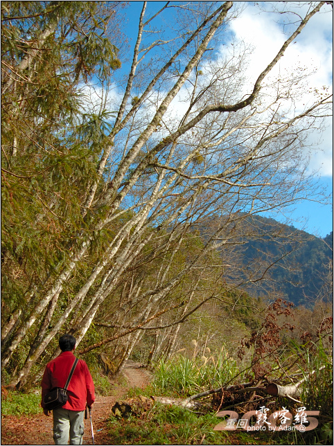 按此在新視窗瀏覽圖片