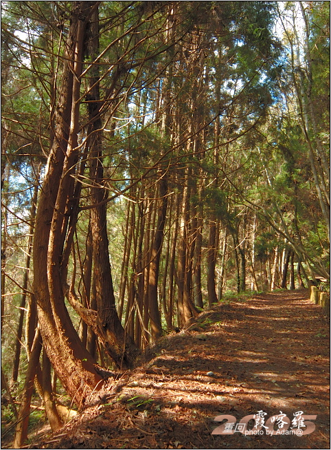 按此在新視窗瀏覽圖片