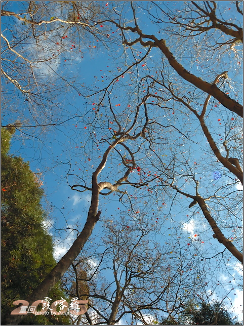 按此在新視窗瀏覽圖片