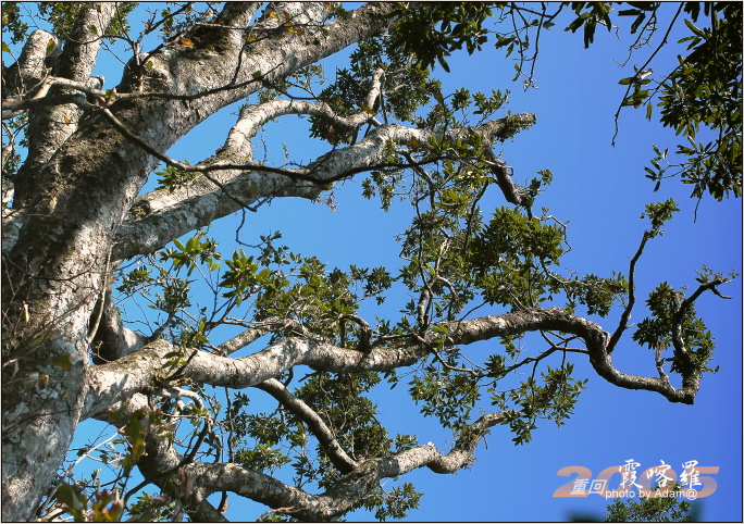 按此在新視窗瀏覽圖片