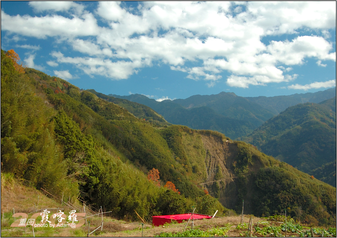 按此在新視窗瀏覽圖片