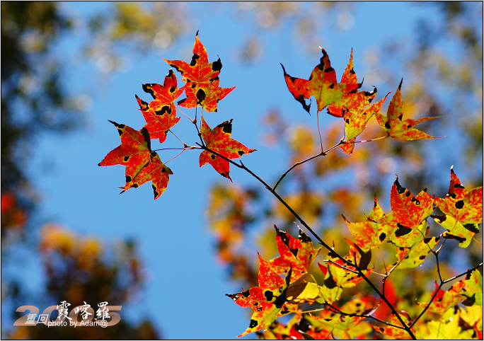 按此在新視窗瀏覽圖片