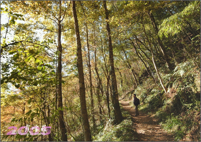 按此在新視窗瀏覽圖片