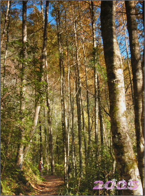 按此在新視窗瀏覽圖片