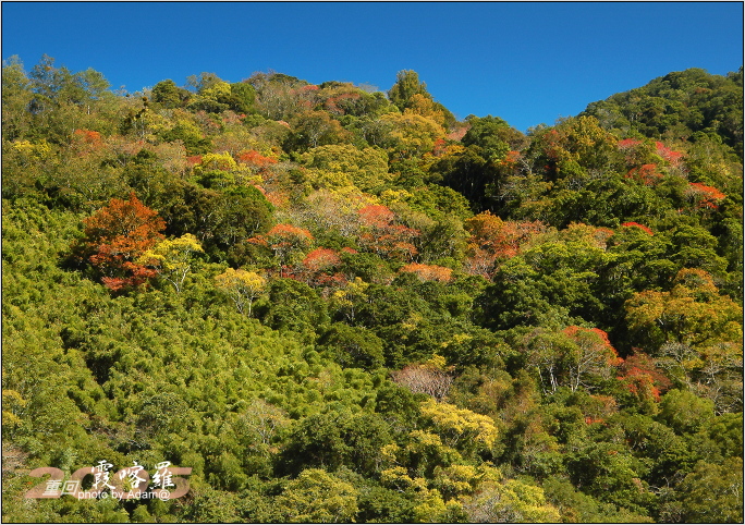 按此在新視窗瀏覽圖片