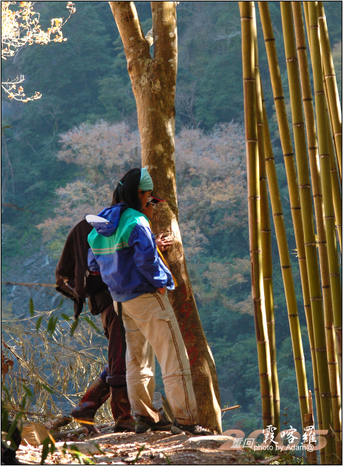 按此在新視窗瀏覽圖片