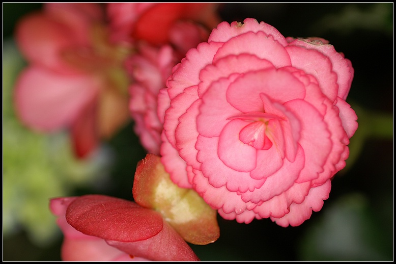 按此在新視窗瀏覽圖片