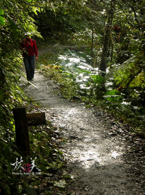 按此在新視窗瀏覽圖片