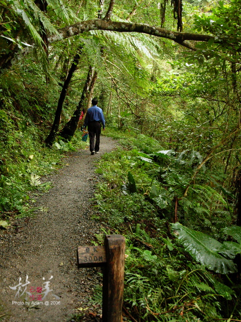 按此在新視窗瀏覽圖片