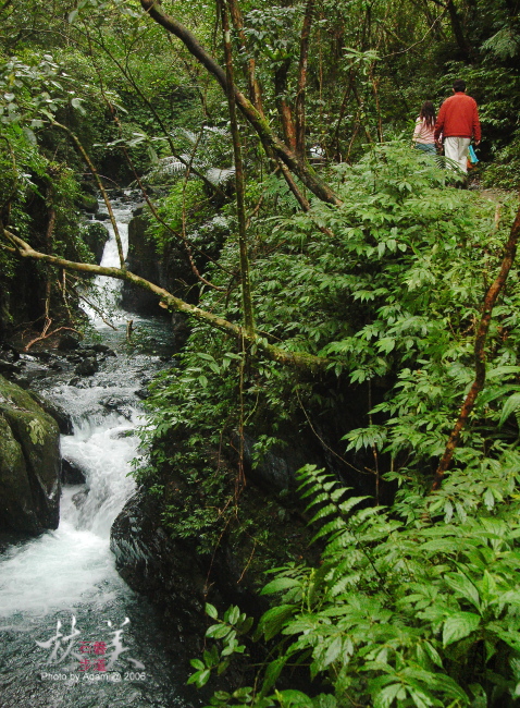 按此在新視窗瀏覽圖片