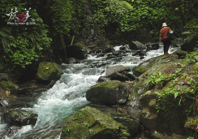 按此在新視窗瀏覽圖片
