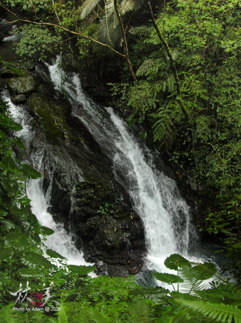 按此在新視窗瀏覽圖片