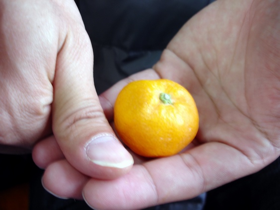 按此在新視窗瀏覽圖片