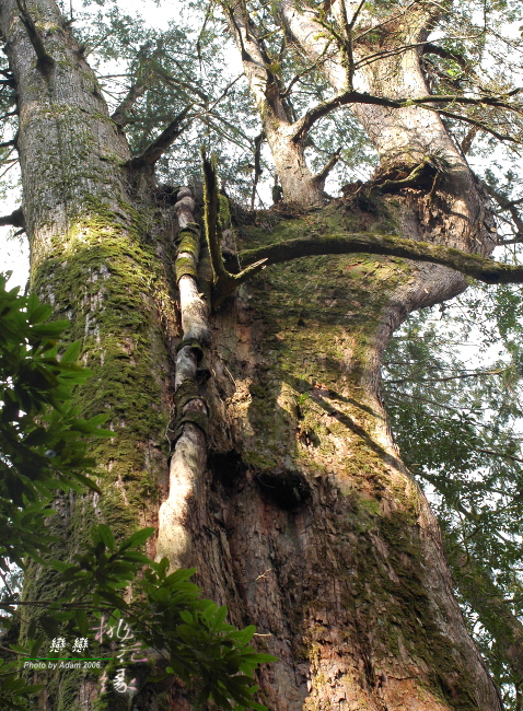 按此在新視窗瀏覽圖片