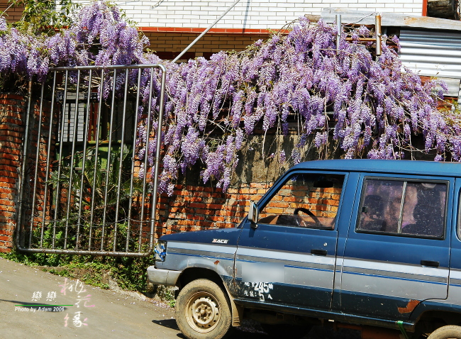 按此在新視窗瀏覽圖片