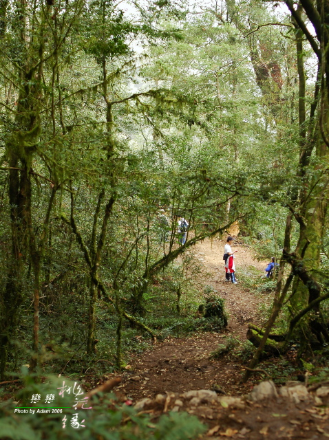 按此在新視窗瀏覽圖片