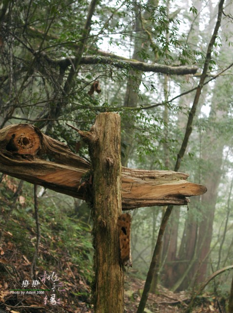 按此在新視窗瀏覽圖片