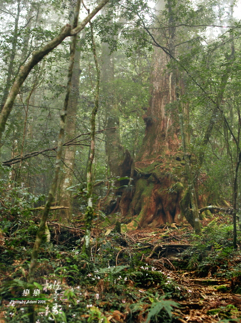 按此在新視窗瀏覽圖片