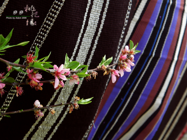 按此在新視窗瀏覽圖片