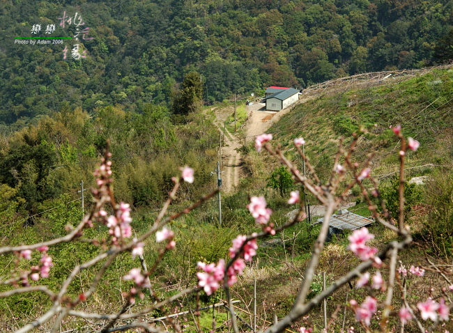 按此在新視窗瀏覽圖片