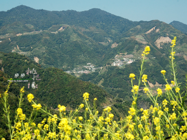 按此在新視窗瀏覽圖片