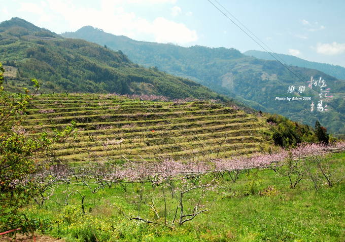 按此在新視窗瀏覽圖片