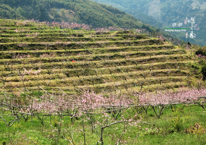 按此在新視窗瀏覽圖片