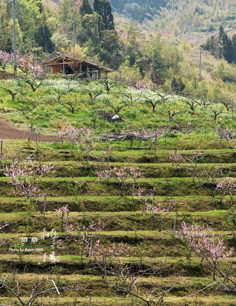 按此在新視窗瀏覽圖片