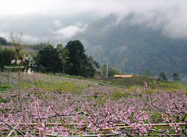 按此在新視窗瀏覽圖片
