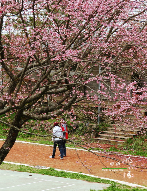 按此在新視窗瀏覽圖片