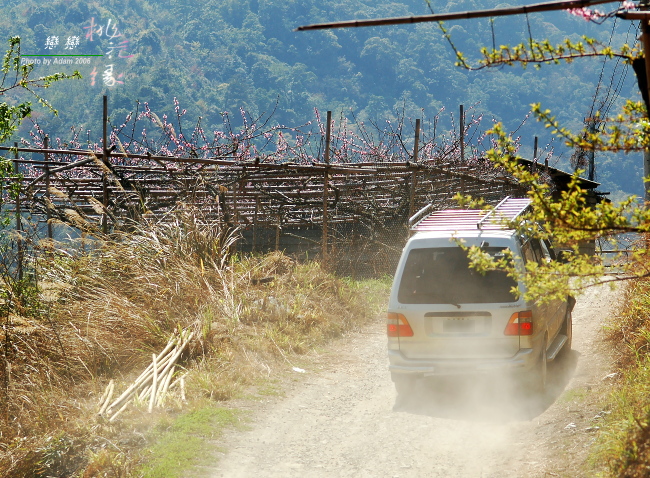 按此在新視窗瀏覽圖片