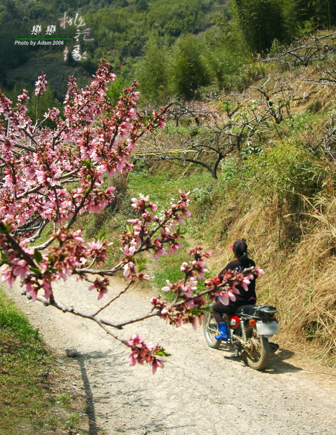 按此在新視窗瀏覽圖片