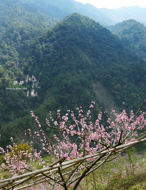 按此在新視窗瀏覽圖片
