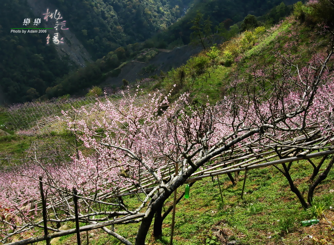 按此在新視窗瀏覽圖片