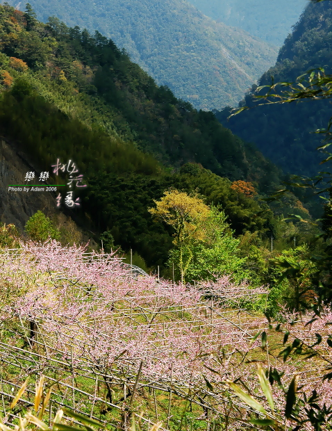 按此在新視窗瀏覽圖片