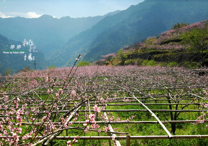 按此在新視窗瀏覽圖片