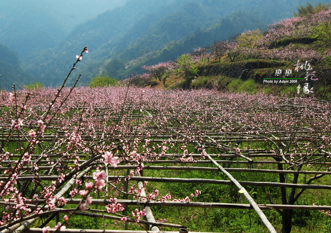 按此在新視窗瀏覽圖片